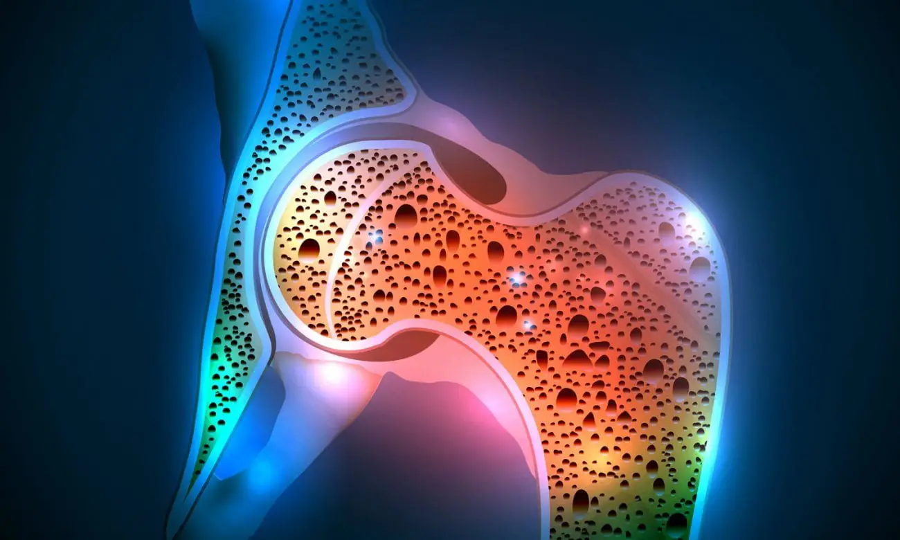 Cosa mangiare per rinforzare le ossa dopo i 50 anni: la guida della Società Italiana di Osteoporosi Cosa mangiare per rinforzare le ossa dopo i 50 anni: la guida della Società Italiana di Osteoporosi