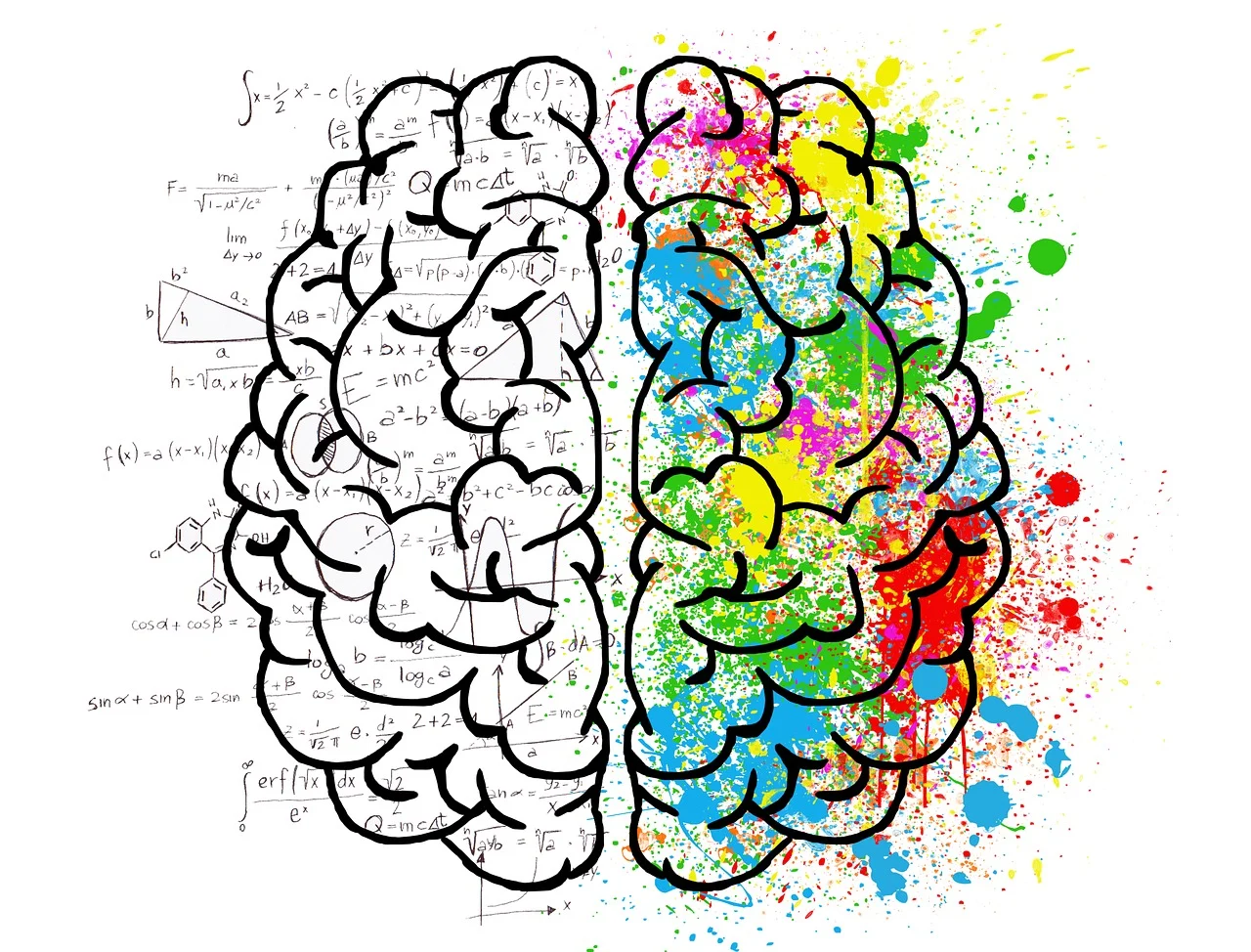 Il trucco per mantenere la memoria giovane: il consiglio dei neurologi per giugno Il trucco per mantenere la memoria giovane: il consiglio dei neurologi per giugno